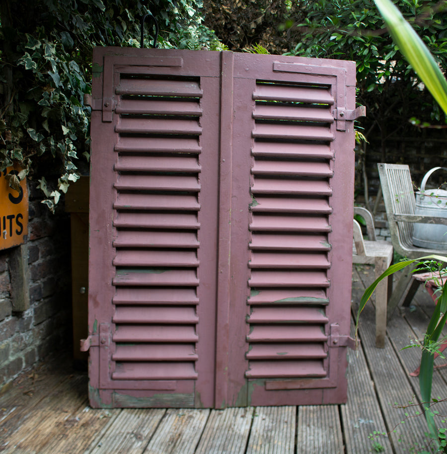 Pair of distressed shutters 1